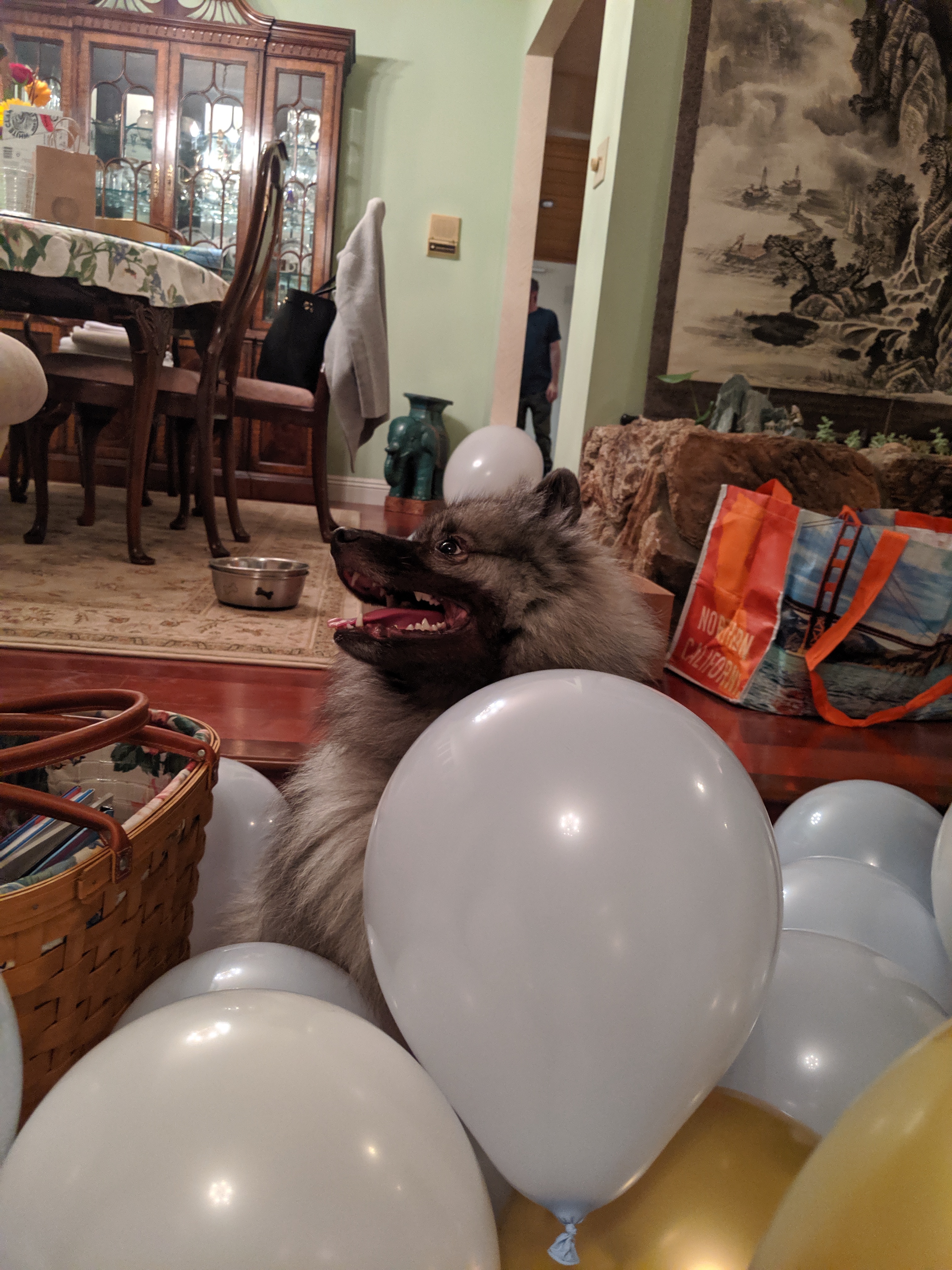 tesla and balloon 1