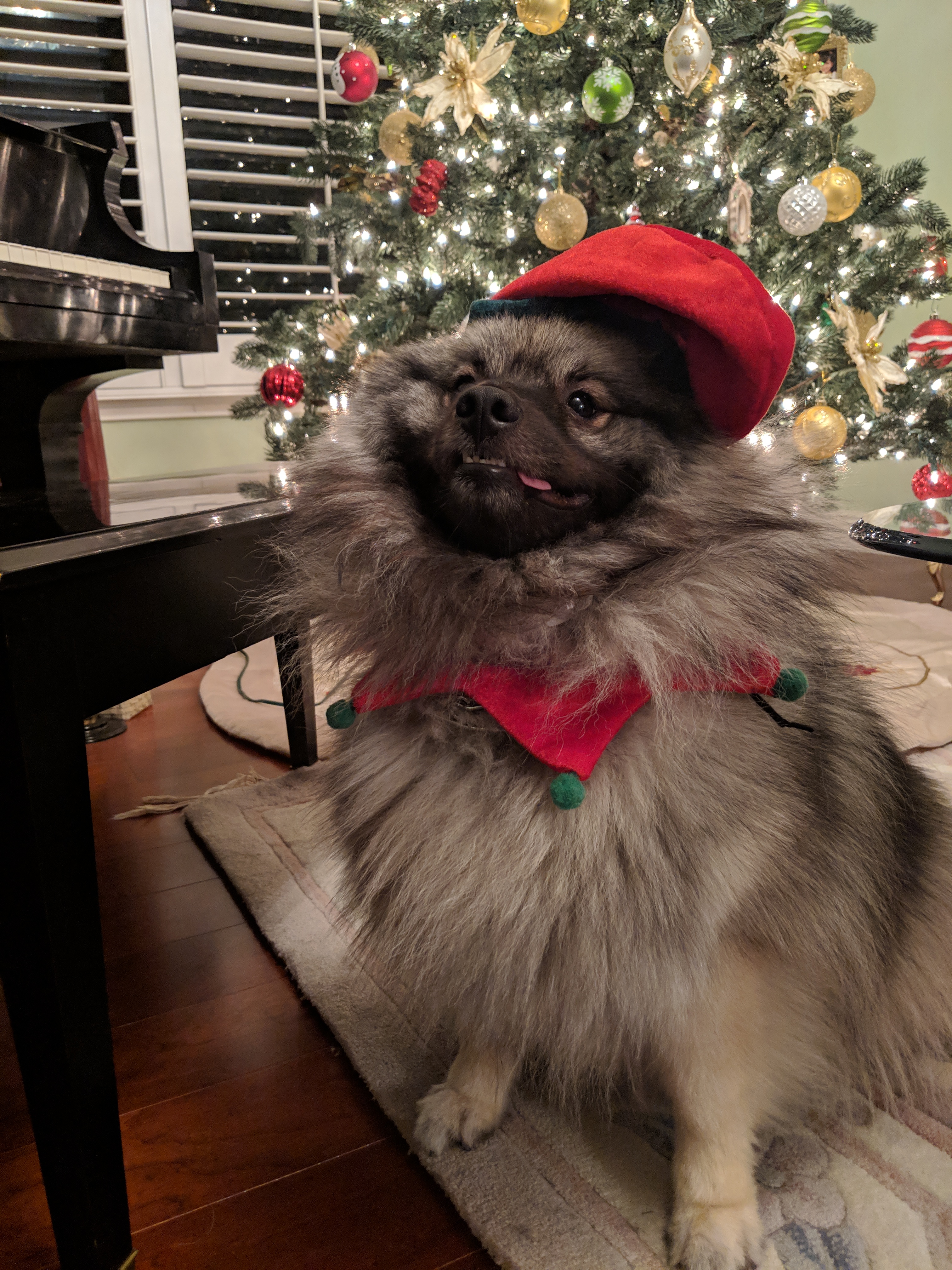 xmas tesla derping