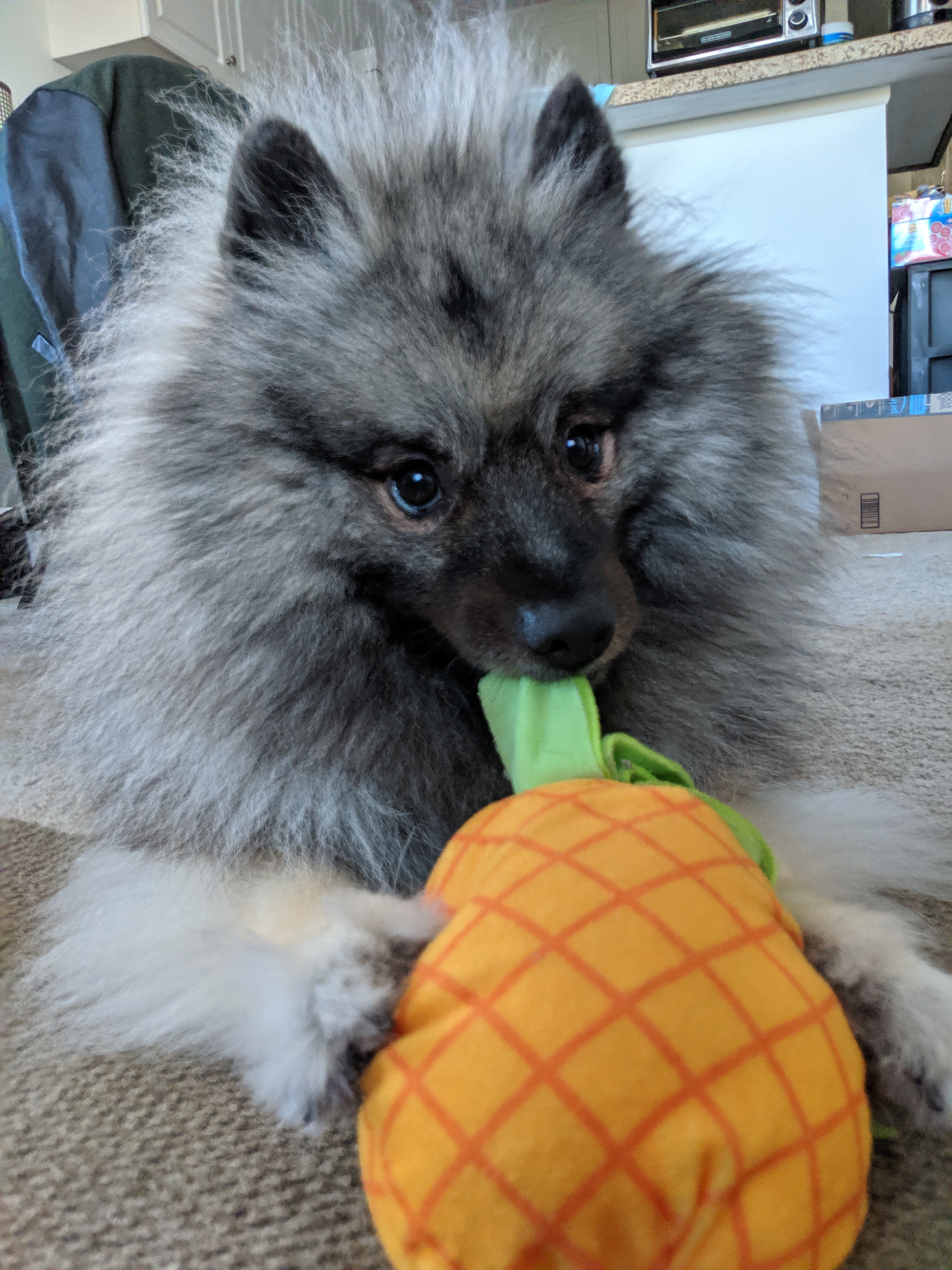 tesla with pineapple