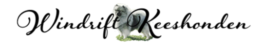 breeder logo image